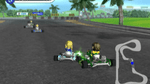 *Deca Sports, Wii