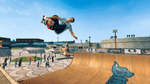 *Tony Hawk: Ride, Wii