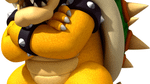 *New Super Mario Bros. Wii, Wii