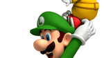 *New Super Mario Bros. Wii, Wii