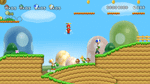 *New Super Mario Bros. Wii, Wii