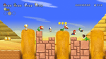 *New Super Mario Bros. Wii, Wii