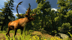 *Cabela's Hunting Expeditions, Wii