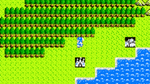 ^Dragon Warrior, NES