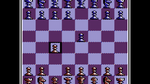 Battle Chess, NES