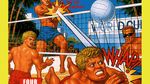 Super Spike Volleyball, NES