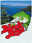Black Bass, NES