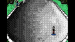 Skate or Die, NES