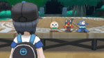 Pokemon Moon, n3DS