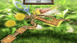 *Marble Saga Kororinpa, Wii
