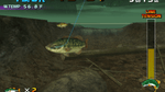 *Sega Bass Fishing, Wii