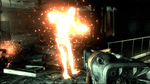 *Fallout 3, PS3
