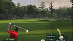 *Tiger Woods PGA Tour 11, Wii