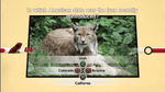 Nat Geo Challenge Wild Life, PS3