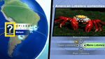 Nat Geo Challenge Wild Life, PS3