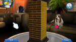 *Jenga, NDS