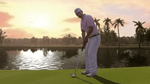 *Tiger Woods PGA Tour 10, Wii