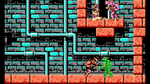 *Teenage Mutant Ninja Turtles, NES