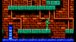 *Teenage Mutant Ninja Turtles, NES