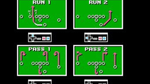 Tecmo Bowl, NES