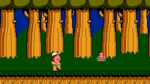 Adventure Island, NES