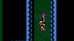 Crystalis, NES