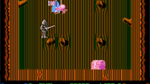Wizards and Warriors, NES