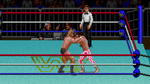 WWF Super Wrestlemania, SNES