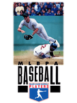 MLBPA Baseball, SNES