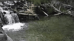 Reel Fishing, PS1