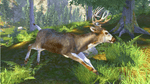 Cabela's Trophy Bucks, PS2