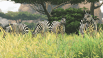 Cabela's African Adventures, PS3