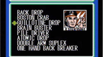 WCW World Championship Wrestling, NES