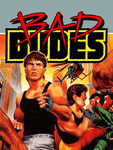Bad Dudes, NES