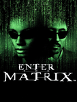 Enter the Matrix, PS2