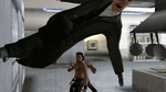 Enter the Matrix, PS2