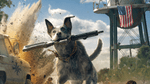 *Far Cry 5, PS4