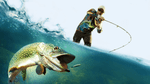 Pro Fishing Simulator, XONE