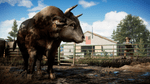 *Far Cry 5, XONE