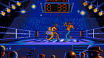 *Best of the Best Championship Karate, SNES
