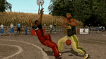 Street Hoops [Greatest Hits], PS2