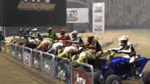 *ATV Quad Kings, Wii