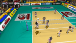 Deca Sports 3, Wii