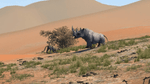 *Cabela's Big Game Hunter 2012, PS3