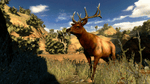 Cabela's Hunting Expedition, PS3