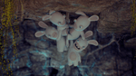 Raving Rabbids: Travel in Time, Wii