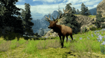 Cabela's Big Game Hunter 2010, PS3
