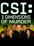 *CSI 3 Dimensions of Murder, PS2