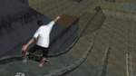 Skate It, Wii