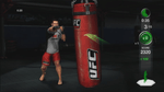 UFC Personal Trainer, Wii